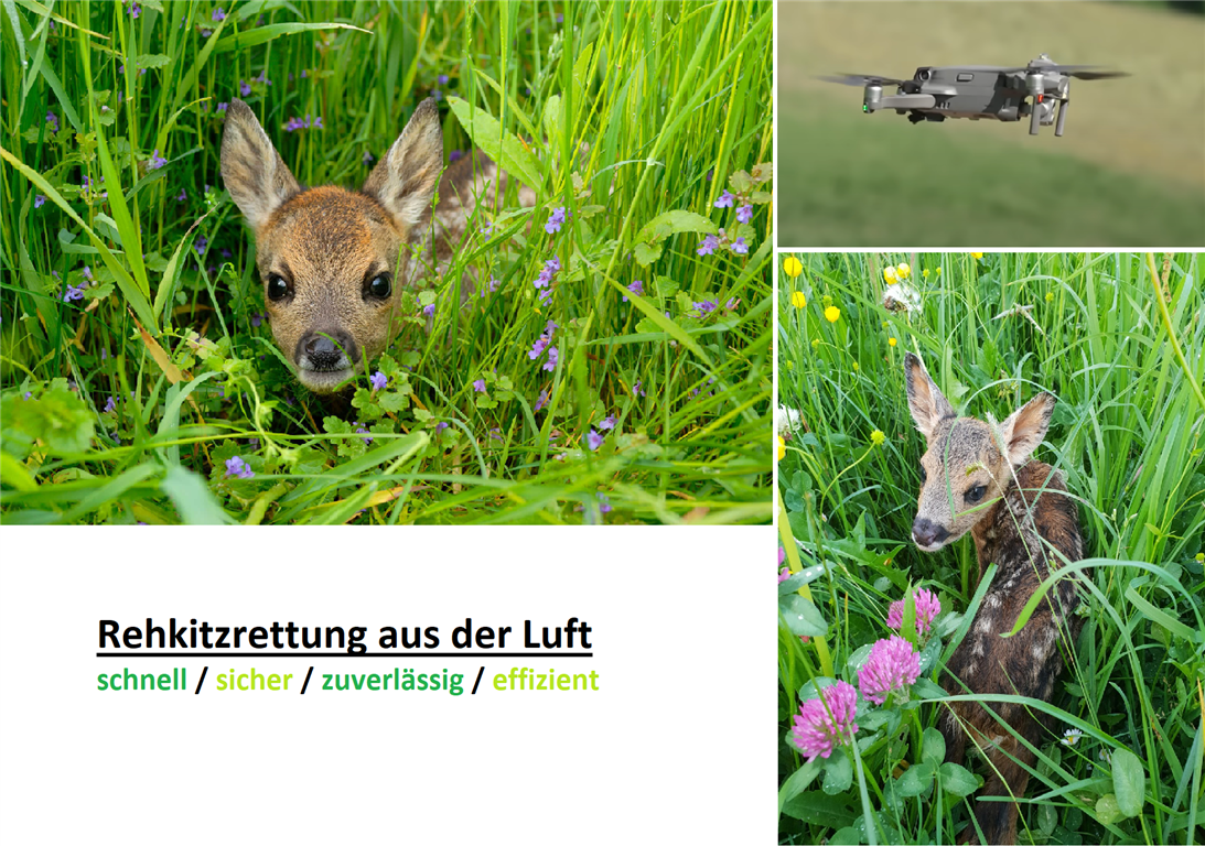 Projekt Rehkitzrettung (Mittel)