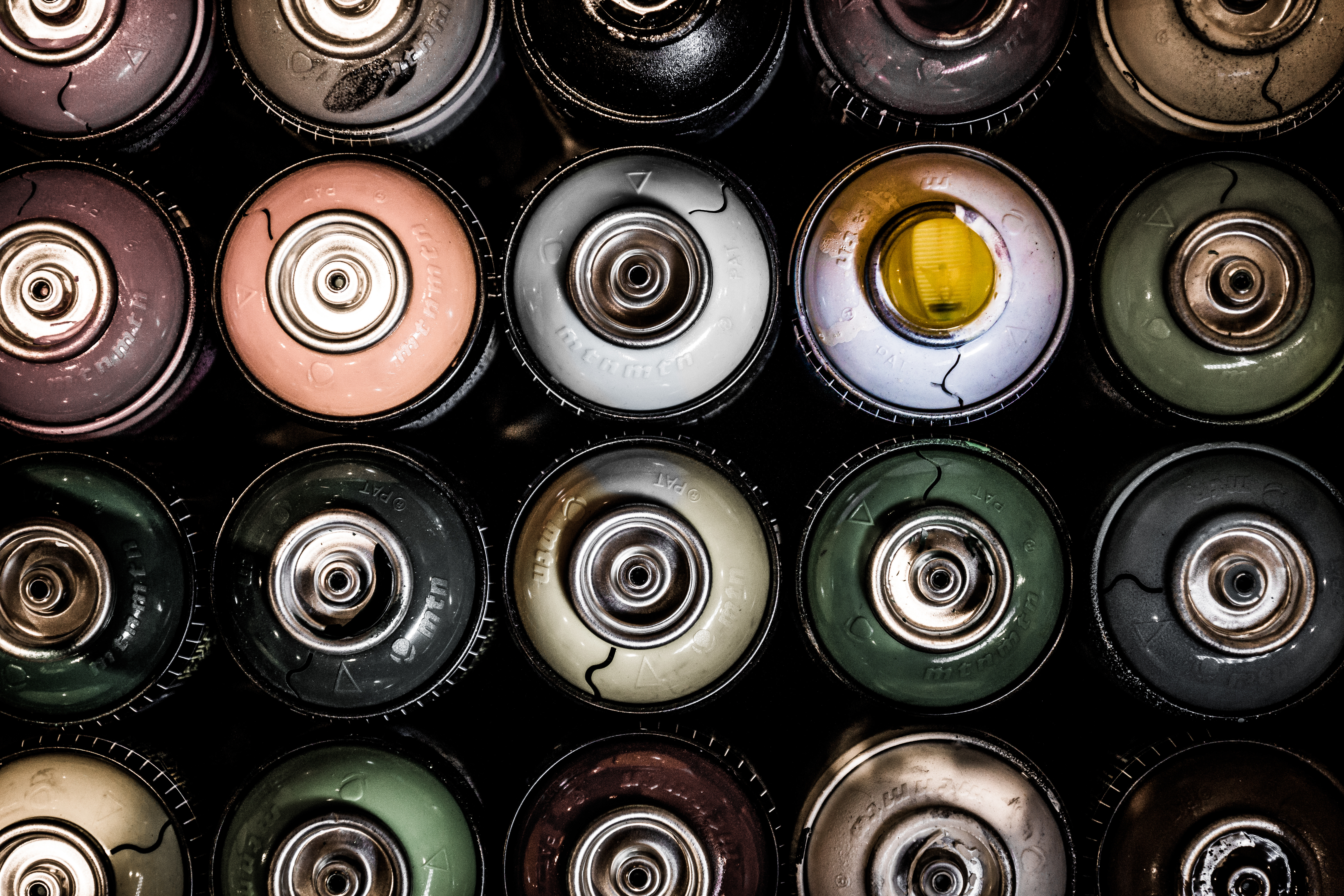 Adobestock 238564046 (1)